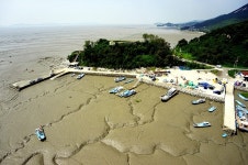 인천시 강화군, 분오리 저어새 생태마을 조성