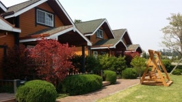 봄철 여행지 제주도, 서귀포 내 중문올레독채펜션 방문하고 가파도 청보리축제도 즐겨보자