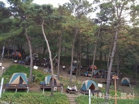 대전 중구, 뿌리공원 캠핑장 새롭게 개장