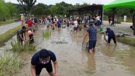 신비의 생명과 자연을 느끼자, 창녕 우포늪을 품은 생태체험장
