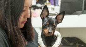 호남대 관광경영학과, 광주 잠재관광자원 투자환경 분석 자료집 발간