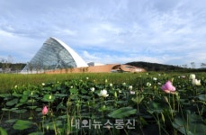 서천 9경(景), 9미(味), 9품(品) 선정