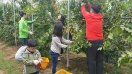 충북 보은군, 균형발전사업 우수사례로 최종 선정