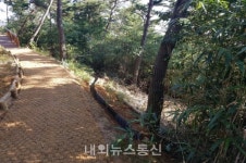 홍성군, 교통약자 위한 무장애 숲길 추가조성