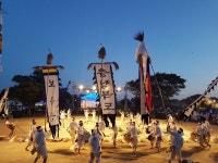 충북 보은장안농요, 제59회 한국민속예술축제 금상 수상