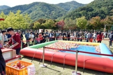 문경사과축제, 이틀만에 8만 명 몰려…'흥행 예감'