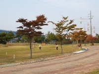 영암군파크골프협회, 전남 파크골프협회장기 파크골프대회 개최