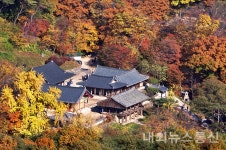 안동시, 봉정사 가을음악회…이미숙 밴드 등 다양한 공연 선보여