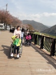 단양군보건소, 장애인 단풍 나들이 행사