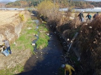 성주군 벽진면 농촌지도자회,운곡천 일대 하천하구 주변 정화활동 펼쳐