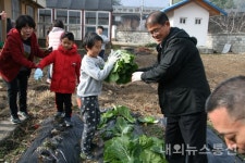 단양 대가초등학교, 사랑의 배추 나눔 행사