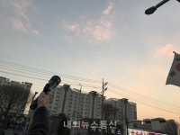 수원시, 떼까마귀 순찰반 편성……출몰 지역 순찰