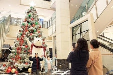광주신세계, 문화광장에 대형 트리 전시