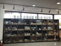 홍성군, 관광 상품 · 특산품 홍보전시장 설치
