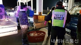 울진해경, 불법 대게 판매 수산자원관리법 위반 40대 선장 체포
