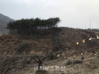 의성군 풍리리 주민들 태양광발전소건립 결사반대