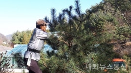 충청북도산림환경연구소, 아파트 조경수 관리자 및 일반인 무료교육 실시