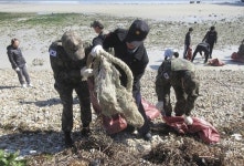 해군 3함대, 세계 물의 날 기념  흑산도 정화활동 실시