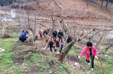 연수동직능단체, 생산적 일손봉사 참여 이어져