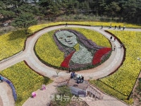 꽃지해변 형형색색 200여 종의 튤립, 화려한 자태