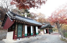인천 중구, 영종도 천년고찰 용궁사에서 소원을 만나다 운영