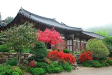 순천시, 석가탄신일 조계산 도립공원 선암사 주차장 무료 개방