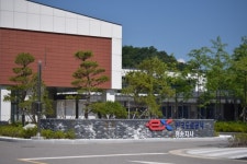 한국도로공사, 휴게소에 벌목한 소나무 방치해 재선충병 전국으로 확산 시켜