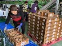서산시, 농산물 소비부진 해소에 팔 걷었다