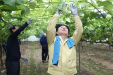 성주군,민선7기 1주년, 민생과 현안 속으로 달려가다!