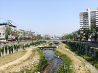 [현장 탐방] 충주시 도심 미관 이제부터...아름다운 도심 만들기