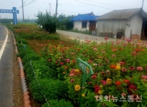 감곡면, 마을 쓰레기장 꽃밭으로 바꾸는 선행 눈길