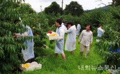 금융감독원, 충주 신니면 선당마을에서 구슬땀