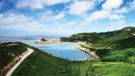 전남도, 8월 관광지로 보성 장도와 신안 비금·도초도 추천