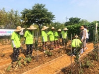 부천시보건소, 치매어르신 돌봄치유농장 운영