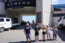 창수초병설유치원,고사리 손으로 대진해수욕장 청소 끝!