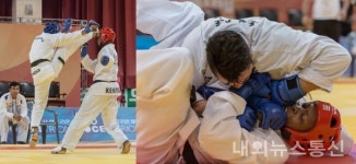 충주세계무예마스터십 종목-무예를 통일하다 통일무도