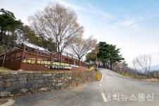 단양 소백산자연휴양림, 힐링에 추억과 즐거움을 더하다