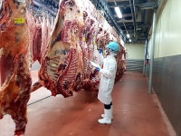 인천보건환경연구원, 추석명절 안전하고 원활한 축산물 공급위해 총력