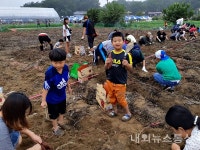 제15회 천등산 고무마 축제...7일·8일 산척면 고구마 맛보러 가자!!