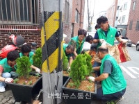 대구 서구 내당2.3동, 전봇대 주변 환경개선사업 실시