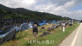 괴산 청천면, 태풍 피해복구 나서