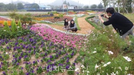 제38회 금산인삼축제, 9월 27일 개막…손님맞이 분주