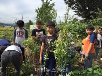 충주 금가초등학교, 자연과 함께 마음도 쑥쑥!