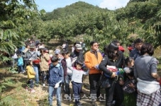 [포토] 충주 소태면으로 밤 따러 가자!