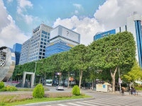 부천시 네모 가로수길 눈길