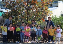 충주 세성초등학교, 감따기 체험 가져