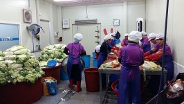 곡성 옥과면-옥과 맛있는 김치, 김치로 따뜻한 정 나눠