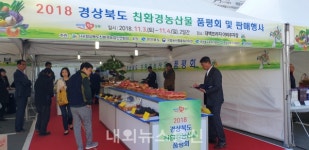 2019 경북 친환경농산물 품평회 및 직거래장터 개최!