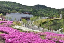 개원 1주년 청소년 수련시설 경주 화랑마을 경주 새로운 랜드마크