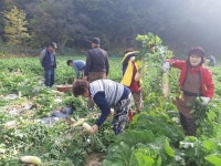 보은군 적암리 마을 공동체 문화 조성으로 활력